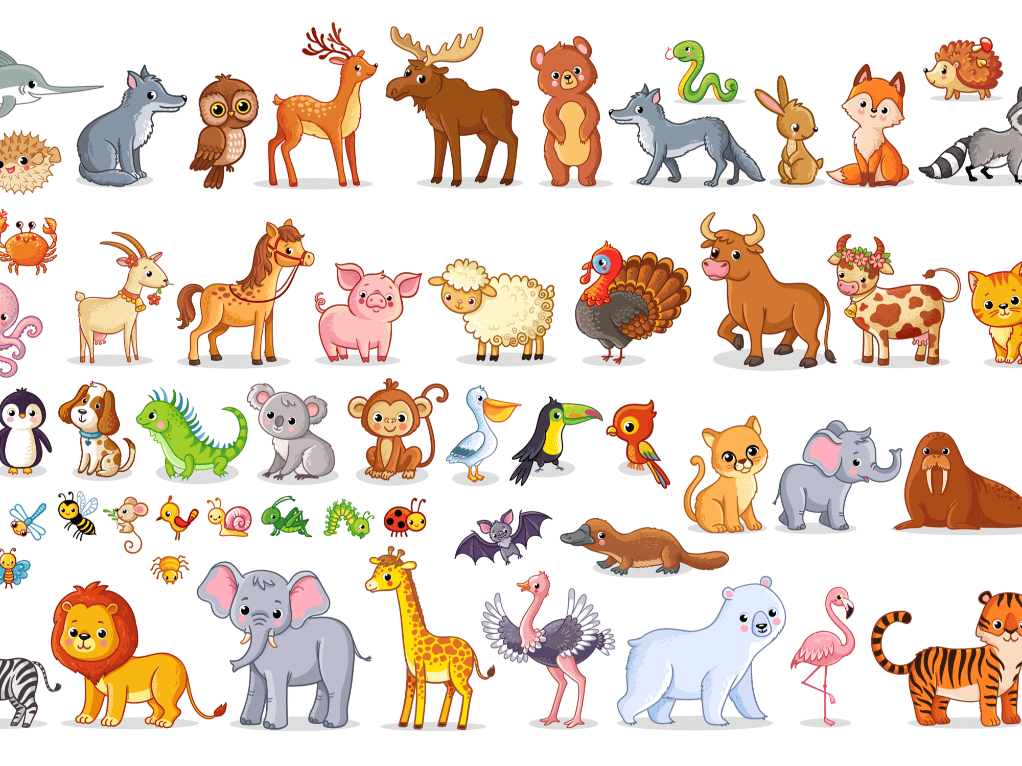 List of Wild Animals Names in English For Kids