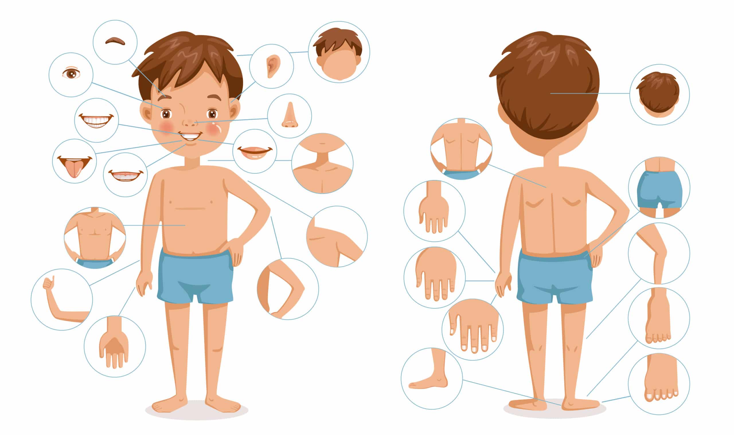 Learning Names For Body Parts In Spanish TruFluency Kids