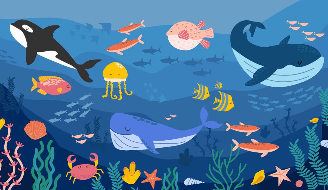 Set of cartoon sea and ocean animals underwater illustrating the blog topic of Sean Animal Names in Spanish