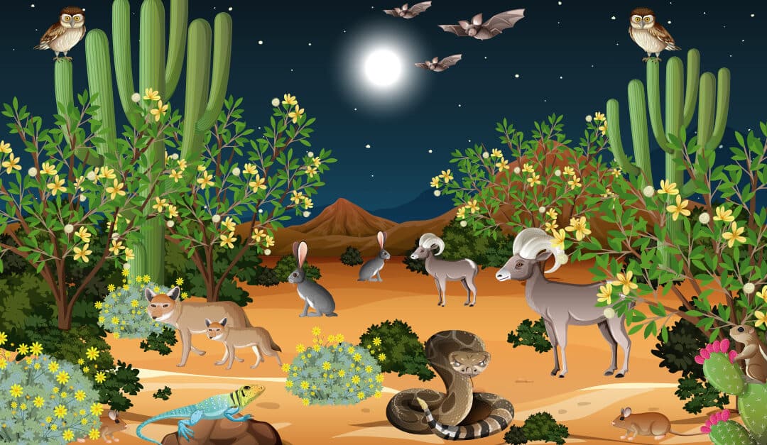 Desert forest landscape at night scene with wild animals illustration, used to illustrate the blog topic "Desert Animal Names in Spanish"