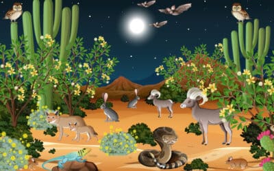 Desert Animal Names in Spanish
