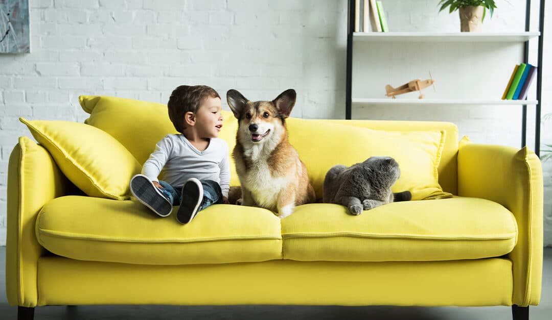 House Pet Names in Spanish for Kids