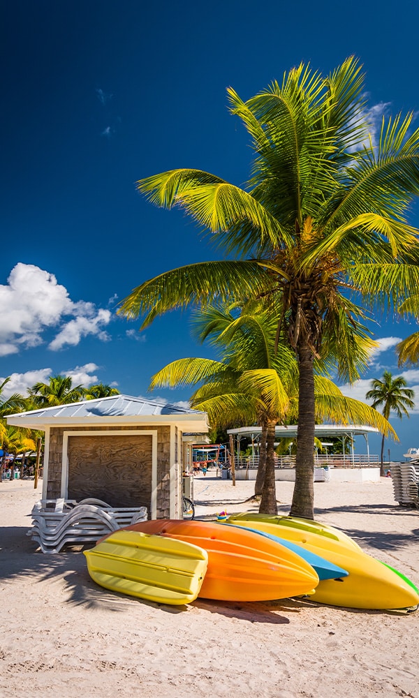 Palm tree and surfboards on the beach on a sunny day in Key West, Florida